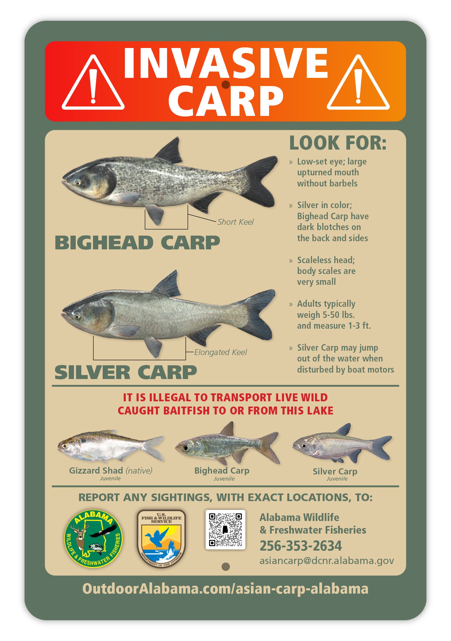 ADCNR Installs Invasive Carp Signs at Tennessee River Public Boat Ramps